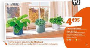 Maybe you would like to learn more about one of these? Offre Plantes Graphiques Le Pot 10 5 Cm Avec Cache Pot En Ceramique Chez Jardiland
