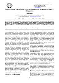 Image result for Dicoma tomentosa