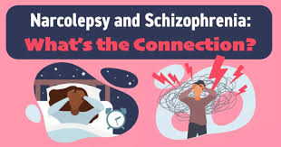 Image result for Narcolepsy