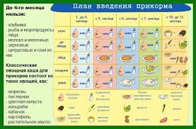 какие продукты можно вводить в 3 месяца при гв Pin By Wizard On Kartinki Raznye Baby Month By Month Health Kids