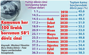 Kamu Dovizle Ic Borclanmada Rekor Kiriyor Alaturka Online 2020 Martini Ogretim Haber