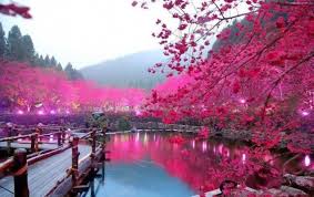 اجمل منظر طبيعي Incredible Places Magical Places Beautiful Places