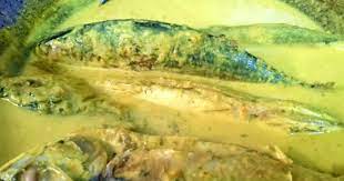 Ikan patin masak tempoyak temerloh. Ikan Kembung Masak Lemak Cili Api