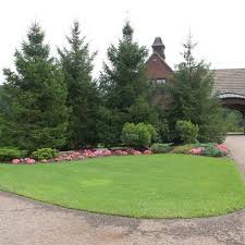 Pin On Landscaping Back Yard
