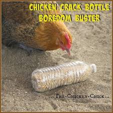 20 Winter Boredom Busters For Backyard Chickens Chickens Backyard Chicken Diy Chicken Toys