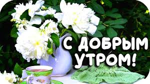 Пусть сегодняшний денек удачу, радость принесет! Samaya Krasivaya Otkrytka S Dobrym Utrom 2020 Pozhelanie Dobrogo Utra Dobroe Utro Youtube