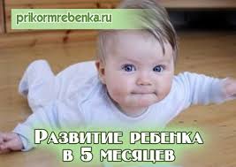 как приучить ребенка к горшку в 2 года видео Razvitie Rebyonka V Pyat Mesyacev Detskie Pelenki Rebenok Prikorm Detskie Zametki