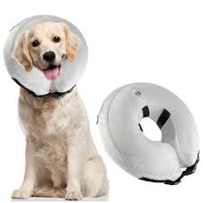 If you go for a trained puppy, then it may cost you a higher of about rs. Sunsky Inflatable Pet Collar Pet Grooming Warm Protective Wound Protection Collar Size M Cqlq02