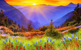 Wallpaper 1920x1200 Px Flowers Landscape Nature 1920x1200 Goodfon 1087341 Hd Wallpapers Wallhere