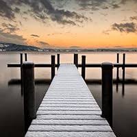 Insects of the Pacific Northwest (Timber Press Field Guides) by Haggard,  Judy, Haggard, Peter (2006) Paperback by Peter Haggard