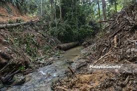 Satu sindiket pembalakan haram di sungai mina, kakus dekat sini berjaya dipatahkan oleh pasukan dari sarawak forestry corporation (sfc) kes tersebut disiasat di bawah ordinan hutan 2015 dan pembalak haram boleh dikenakan hukuman penjara mandatori dan denda rm25,000. 23 Kes Pembalakan Haram Dikesan Sejak Pkp Mac Lalu Perhutanan Kelantan