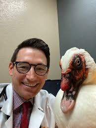 Meet Our Veterinary Specialists In Peoria, AZ