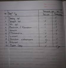 We did not find results for: Buatlah Tabel Perbedaan Antara Sel Tumbuhan Dan Sel Hewan Berdasarkan Dinding Brainly Co Id