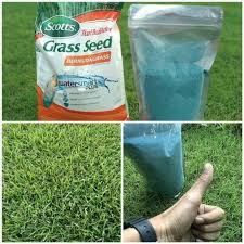 Rumput gajah mini/jual rumput gajah mini/1x1m2 full: Pusat Jual Benih Bibit Rumput Gajah Mini Jepang Golf Shopee Indonesia