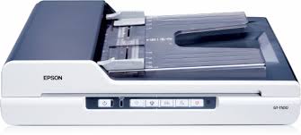 Chief consultant director executive head manager secretary specialist teacher. Epson Gt 1500 Epson