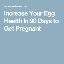 How To Increase Your Egg Health In 90 Days Baby Getting