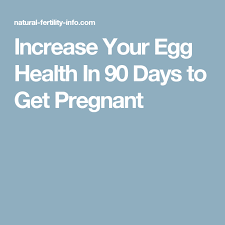 how to increase your egg health in 90 days baby getting