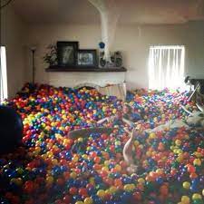 Want To Go This Fill Up My Living Room With Balls Like A Ball Pit Ball Pit Ball Pit Room Funny Pictures