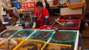 Kegiatan tahun acara gemar makan ikan di kota padangsidimpuan. Satu Lagi Pekerja Perikanan Indonesia Di Korea Selatan Meninggal Dunia