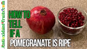 How can you tell if a pom is ripe? Antioxidant Fruits Com How To Tell If A Pomegranate Is Ripe Facebook