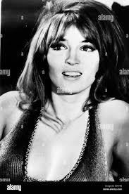 Paul halter hi-res stock photography and images