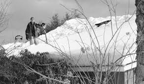 The SANDISFIELD TIMES