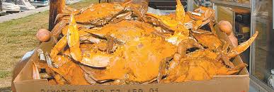 It’s OK to get crabby here. Really