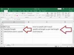 After that, click/select on the autofit column width button, the selected cell of a column will automatically extend the size of a cell. Auto Fit Cell As Per Text Length In Ms Excel 2003 2016 Youtube