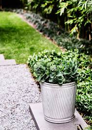 A Garden Of Contrasts That Works Harmoniously Victorian Gardens Garden Design Small Garden Design