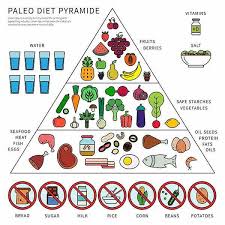 We did not find results for: Dieta Paleo Come Funziona Schema Menu Settimanale Cosa Mangiare E Controindicazioni Greenme