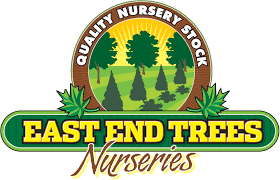 Check spelling or type a new query. East End Trees Long Island S Best Plant Tree Nursery
