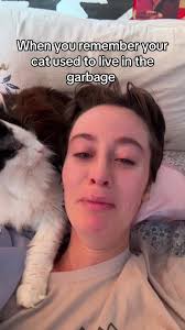 Hotel Cat Lives Off Scraps