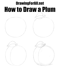Very light lines are also used here. How To Draw A Plum Easy Drawings Easy Drawing Steps Very Easy Drawing