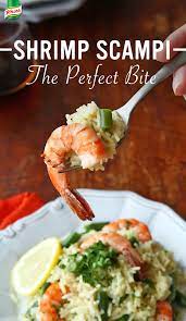 Shrimp Scampi Over Rice Seafood Recipes Knorr Recipes Recipes