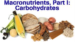 It only requires the counting of direct sources of macronutrients off of the food list with macronutrient breakdown we have given you. What Are Carbohydrates What You Need To Know Stack
