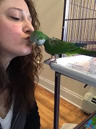 No need to be “Crabby” little guys. You're going to like your new home.  🤣🤣 🦀🦀