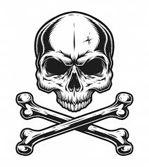 Imagenes De Calavera Vectores Fotos De Stock Y Psd Gratuitos Find & download free graphic resources for calavera. imagenes de calavera vectores fotos