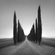 Tme Net Tech Media Evolution Black And White Landscape Best Landscape Photography White Photography