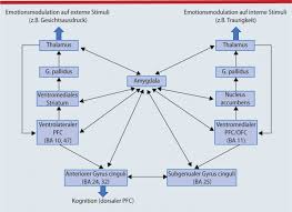 Diese störung besteht einmal in gehobener stimmung, bipolare affektive storung test vermehrtem antrieb. Fortschritte In Der Diagnostik Und Behandlung Bipolarer Storungen Springerlink