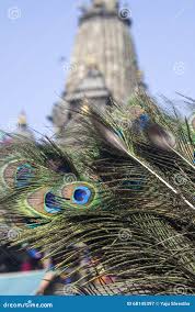 Premium Photo | Realistic Lord Krishna Flute With Peacock Feather