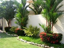 Resultado De Imagen De Jardines Modernos Con Palmas Florida Landscaping Front Yard Landscaping Backyard Landscaping Designs