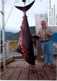 Biggest Fish Ever Caught Sport Fishing Magazine