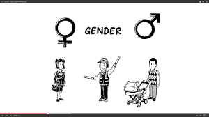 Gender builds on biological sex, but it exaggerates biological difference, and Gender Das Soziale Geschlecht Youtube