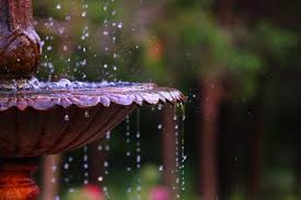On one hand, the sound of moving water is a soothing addition to any outdoor space. Starting A Garden On Your Patio Or Deck Gardening Channel