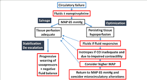 Suggested Algorithm For Tissue Perfusion Optimization. According To The...  | Download Scientific Diagram