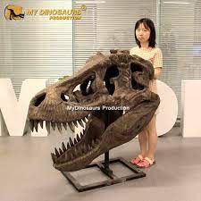 5 out of 5 stars. Ds 168 Tyrannosaurus Rex Skull Statue For Sale My Dinosaurs