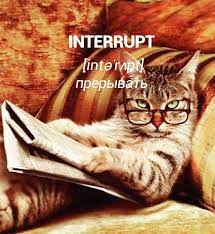 anglijskij s ozvuchkoj v instagram interrupt preryvat perebivat vmeshivatsya meshat primer don t interrupt me whil v 2020 g smeshnye koshki smeshnye foto koshek kot