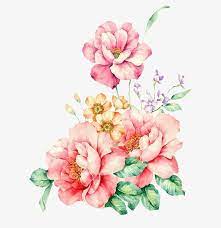 Hand Painted Flowers Pink Flowers Flower Free Pictures Png Image Png Pic Background Background Free Watercolor Flowers Floral Watercolor Pink Flower Painting