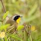 Clark Nature Preserve Field Trip