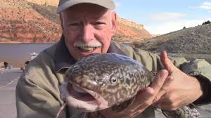 Burbot Fishing at Flaming Gorge